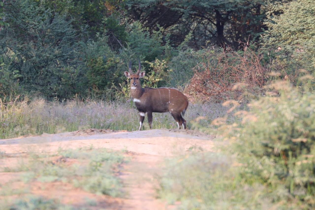 Ngangane Lodge & Reserve Francistown Luaran gambar