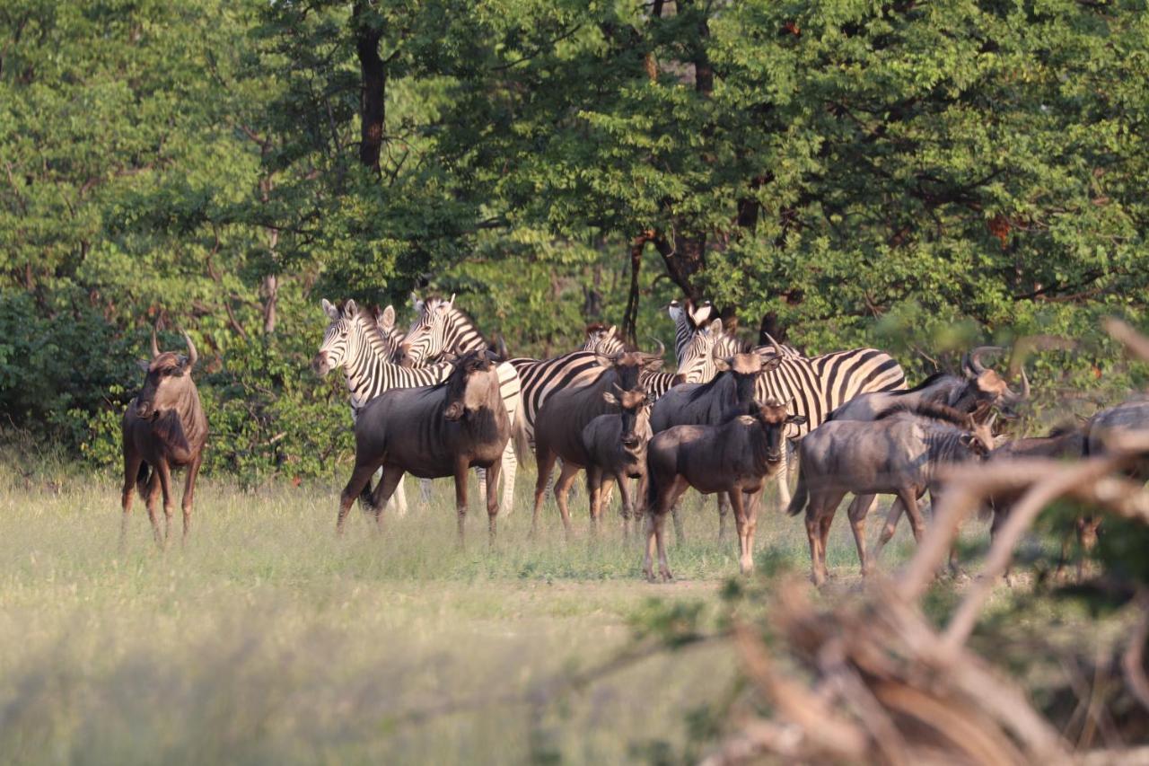 Ngangane Lodge & Reserve Francistown Luaran gambar