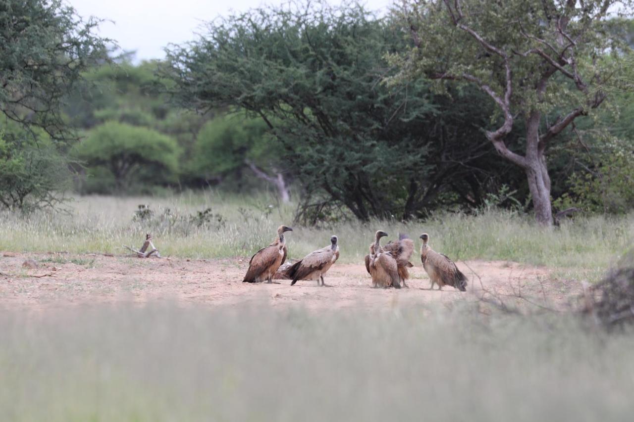 Ngangane Lodge & Reserve Francistown Luaran gambar