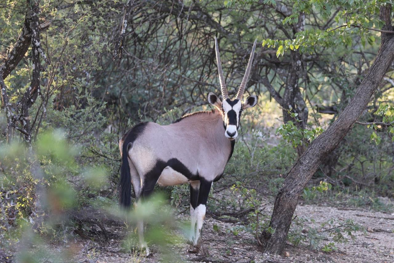 Ngangane Lodge & Reserve Francistown Luaran gambar